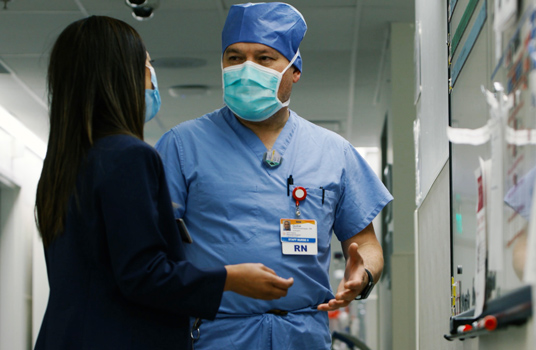 ImageTransplantNew2a